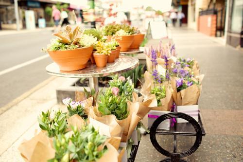 Flower pots on the side of the road - Australian Stock Image