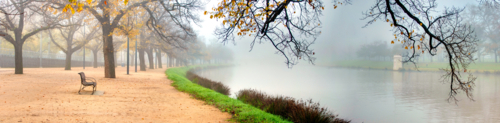 Fog drifts along a quiet riverside path lined with bare autumn trees. - Australian Stock Image