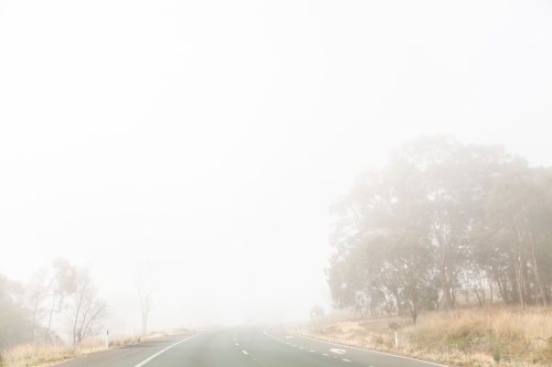Fog hazardous driving condition with low visibility on road