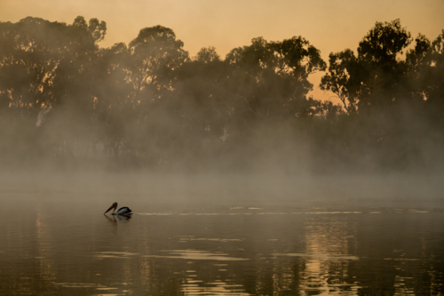 Fog mist morning on river at Mannum - Australian Stock Image