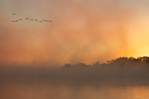 Fog mist morning on river at Mannum - Australian Stock Image