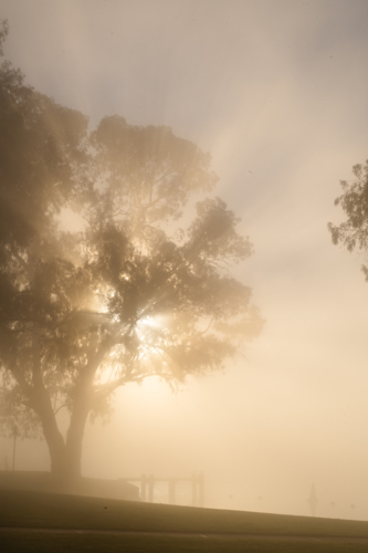 Fog mist morning on river at Mannum - Australian Stock Image