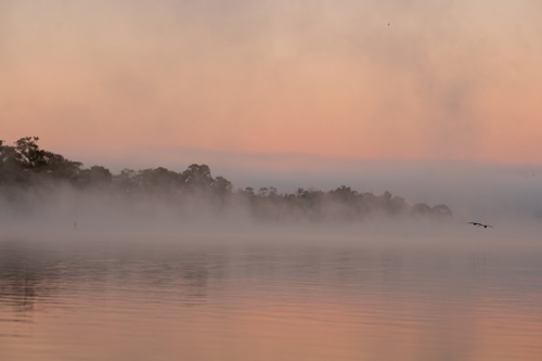 Fog mist morning on river at Mannum - Australian Stock Image