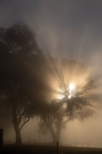 Fog mist morning on river at Mannum - Australian Stock Image