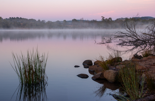 Fog rising off water at sunrise in regional NSW - Australian Stock Image