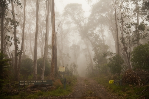 Foggy four wheel drive track through the bush - Australian Stock Image