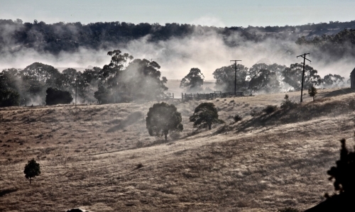 Foggy morning landscape.  In the mist. - Australian Stock Image