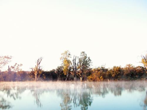 Foggy river and bush at sunset - Australian Stock Image