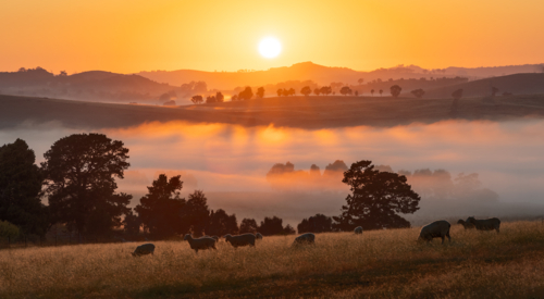 Foggy sunrise with light streaming across hills and trees in rural countryside - Australian Stock Image