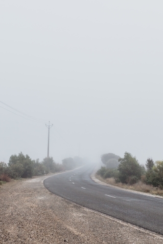 Foggy weather country road, trees lining the road - Australian Stock Image
