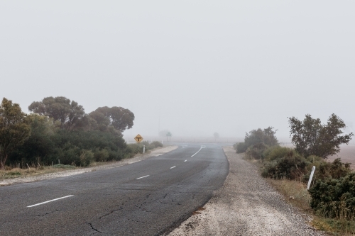 Foggy weather country road, trees lining the road - Australian Stock Image