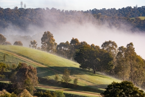 Foggy Winters Morning - Australian Stock Image