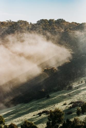 Foggy Winters Morning - Australian Stock Image