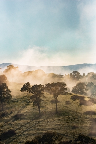 Foggy Winters Morning - Australian Stock Image