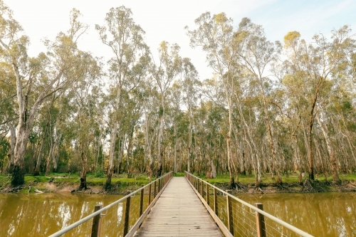 Footbridge walking trail over the Gunbower Creek at Koondrook Victoria Australia - Australian Stock Image