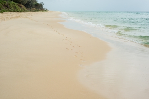 footprints on deserted tropical beach