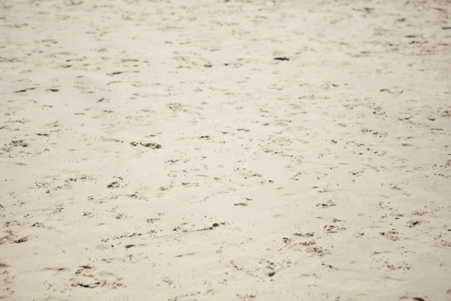 Footsteps in the Sand - Australian Stock Image