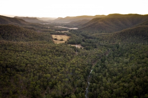 forest landscape with trees valley and creek - Australian Stock Image