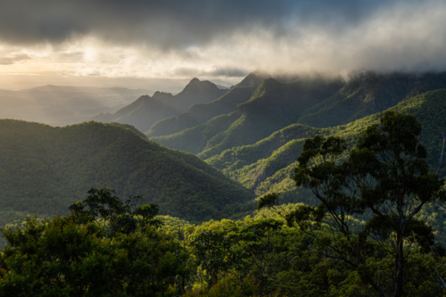 Forested mountain landscape of Mount Barney - Australian Stock Image