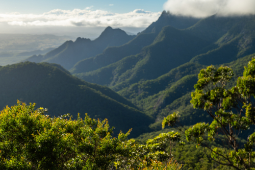 Forested mountain landscape of Mount Barney - Australian Stock Image