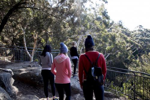 Four friends at lookout in bushland - Australian Stock Image