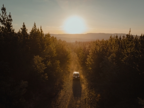 Four wheel drive driving through pine forest at sunset - Australian Stock Image