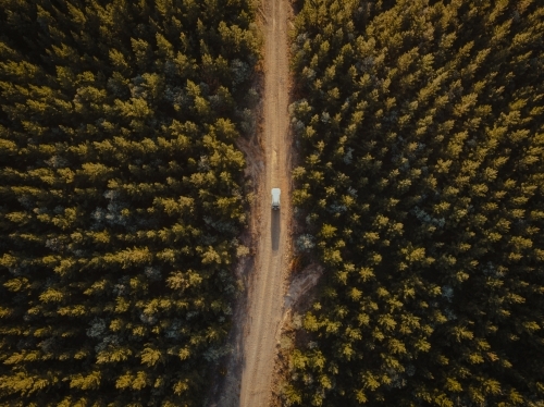 Four wheel drive exploring on dirt road in pine forest - Australian Stock Image