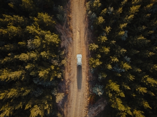 Four wheel drive exploring on dirt road in pine forest - Australian Stock Image