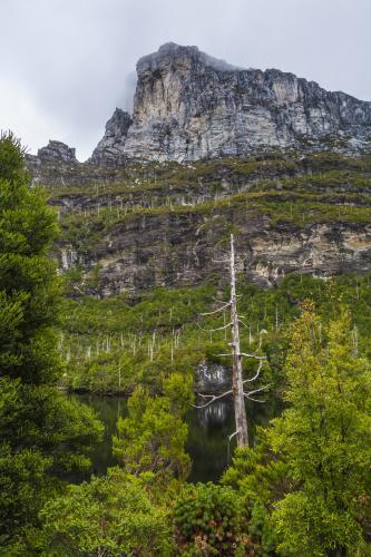 Frenchmans Cap and Lake Tahune - Australian Stock Image