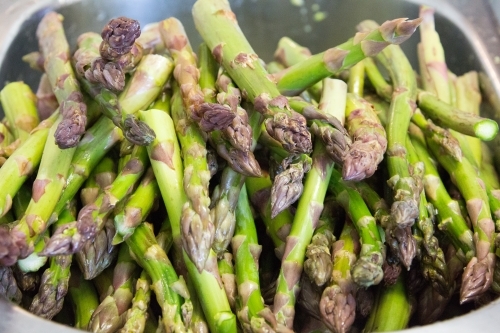 fresh asparagus spears in a dish ready for cooking - Australian Stock Image