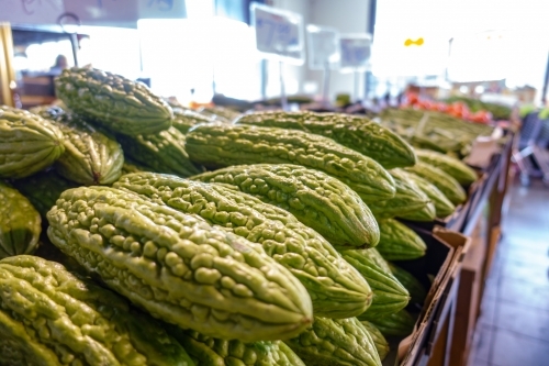 Fresh bitter gourd in food market. - Australian Stock Image