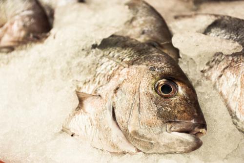 fresh fish on ice - Australian Stock Image