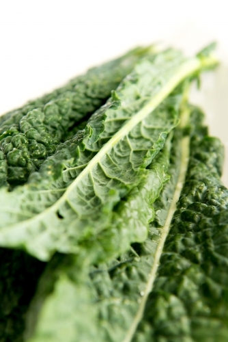 Fresh green kale on white - Australian Stock Image