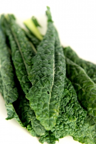 Fresh green kale on white - Australian Stock Image
