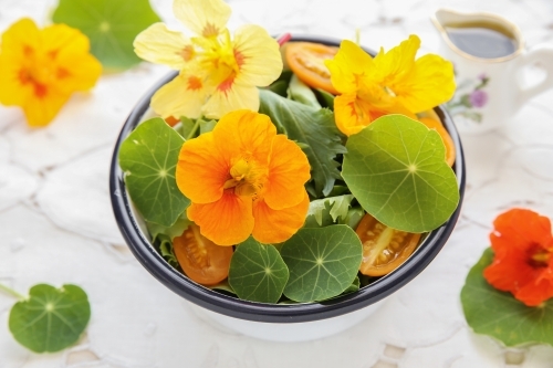 Fresh green salad with edible nasturtium flowers - Australian Stock Image