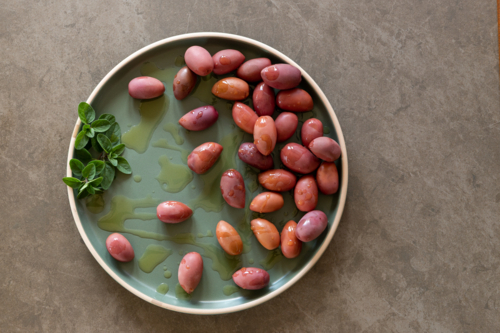 Fresh olives - Australian Stock Image