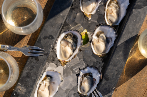 fresh oysters and forks opened shucked on board - Australian Stock Image