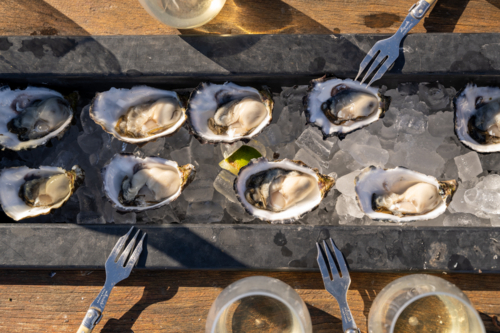fresh oysters and forks opened shucked on board - Australian Stock Image