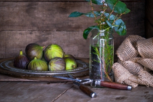 Fresh picked figs on a silver plate - Australian Stock Image