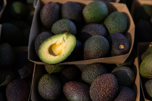 fresh ripe avocados for sale in cardboard trays - Australian Stock Image