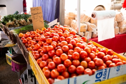 Fresh tomatoes for sale at a Brisbane farmer's market