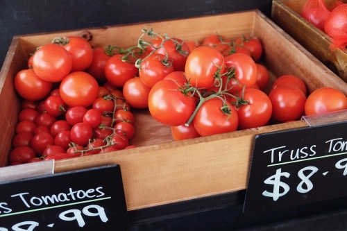 Fresh tomatoes in wooden box - Australian Stock Image