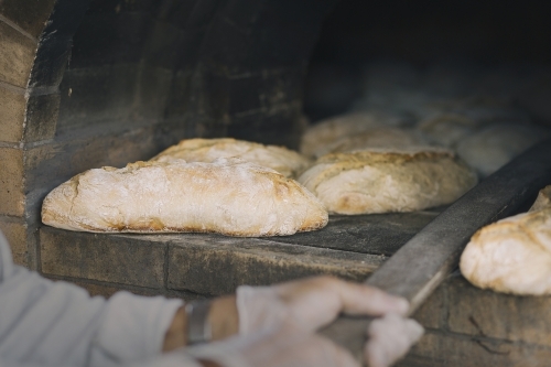 Freshly baked bread, being pulled out of the oven - Australian Stock Image