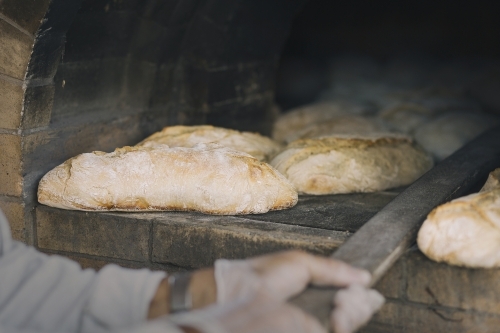 Freshly baked bread, being pulled out of the oven