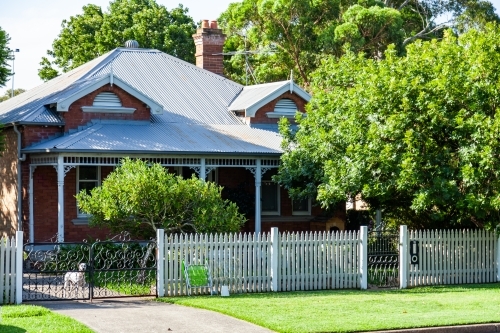 Front fence and dog waiting at gate of house in town - Australian Stock Image