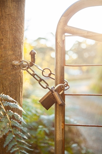 Front gate of property with chain latch and lock on gate - Australian Stock Image