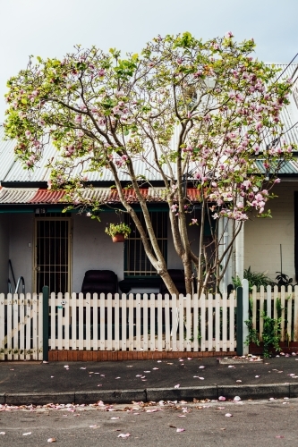 Front of old semi home - Australian Stock Image