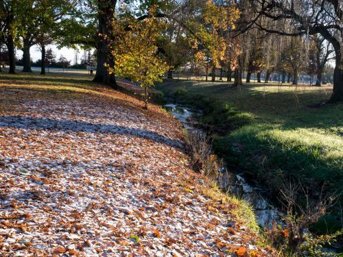Frost on the leaves in the park beside Rocky Ponds Creek - Australian Stock Image