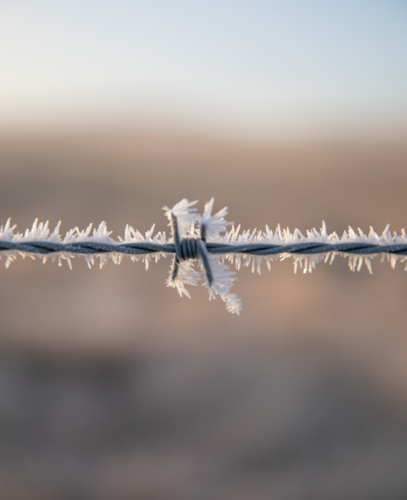 Frozen Barbed Wire - Australian Stock Image