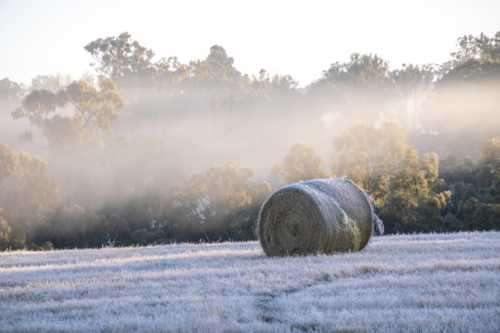 Frozen Hay Bale in a frosty field - Australian Stock Image